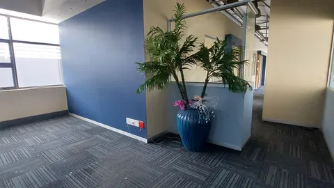 3rd Floor -643m² Office Space To Let For Rent - The Zone - Cradock Square (12)